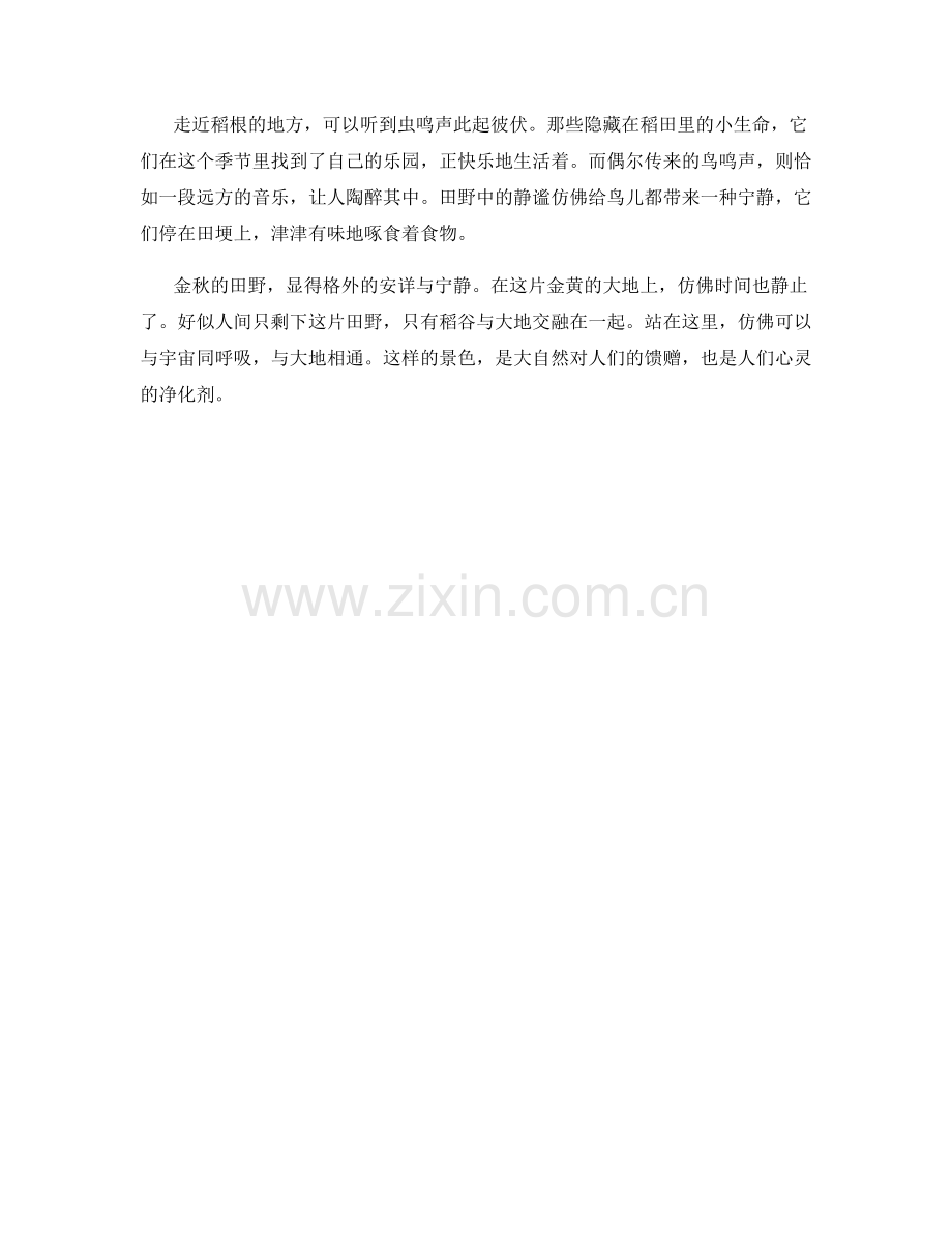 金秋田野的寂静守望.docx_第2页