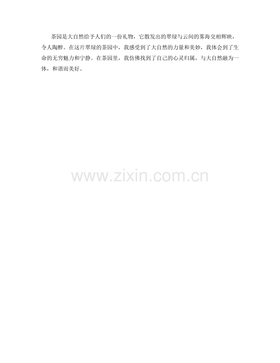 翠绿的茶园与云间雾海.docx_第2页