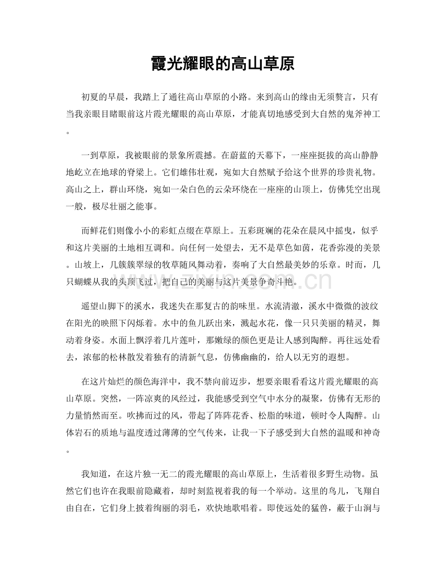 霞光耀眼的高山草原.docx_第1页