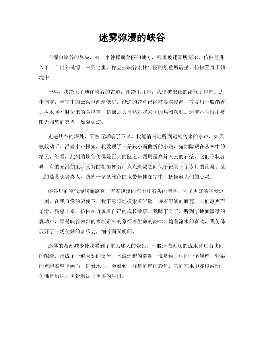 迷雾弥漫的峡谷.docx_第1页