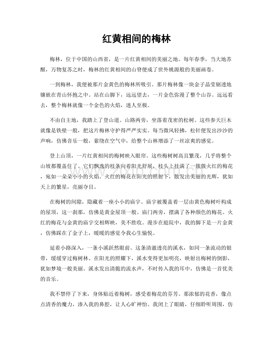 红黄相间的梅林.docx_第1页