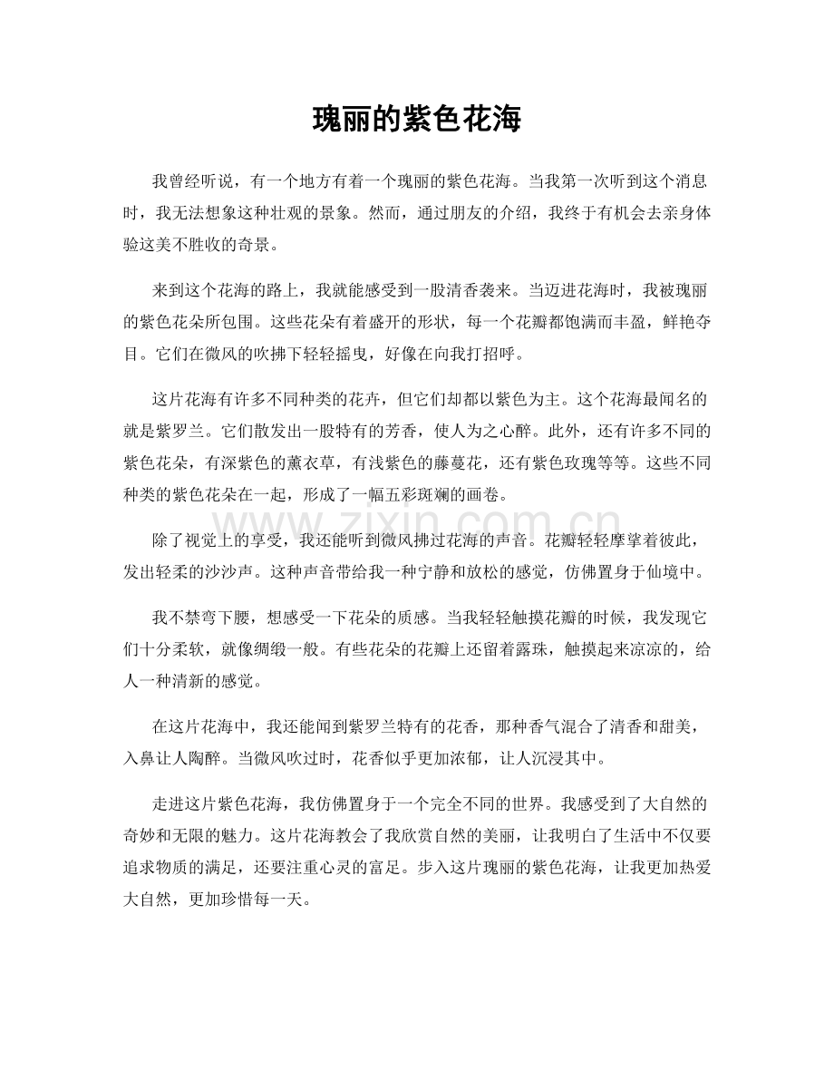 瑰丽的紫色花海.docx_第1页