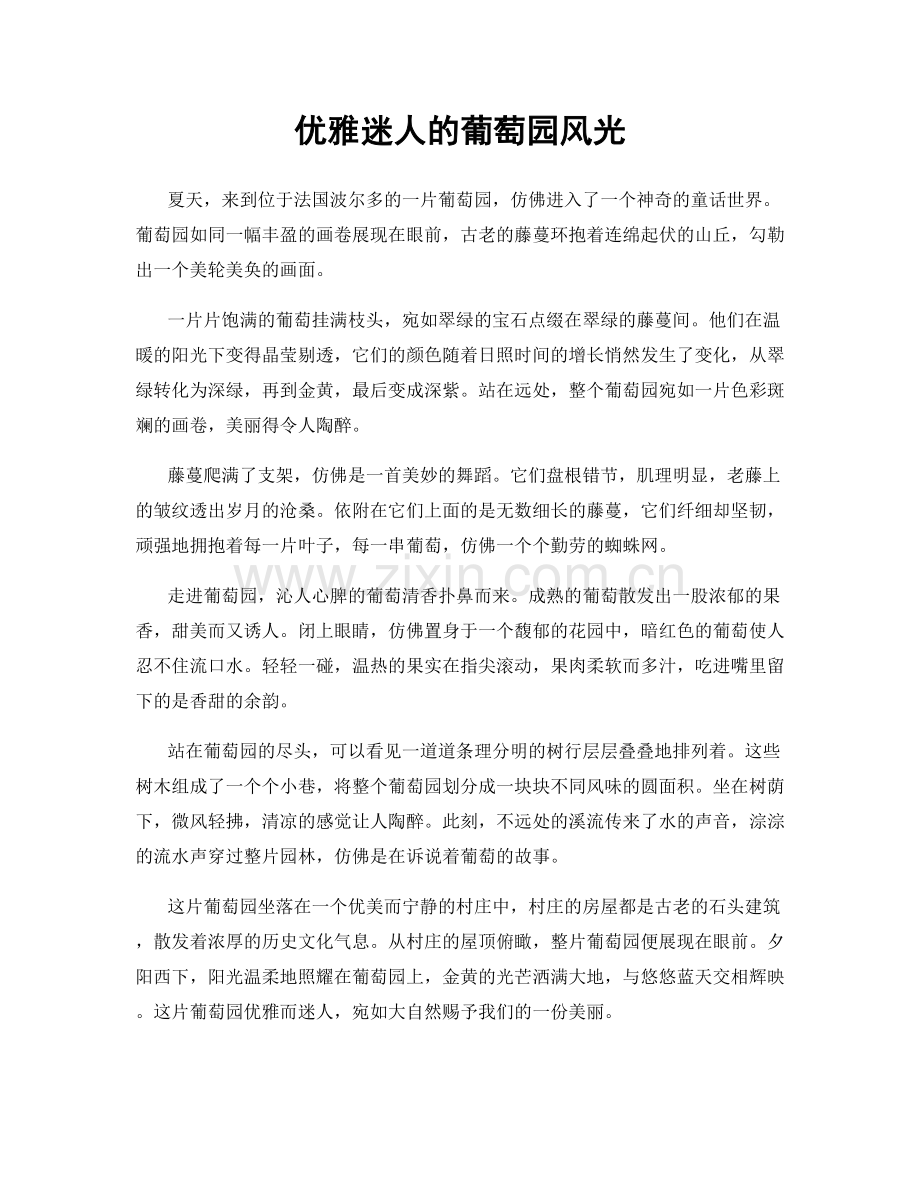 优雅迷人的葡萄园风光.docx_第1页