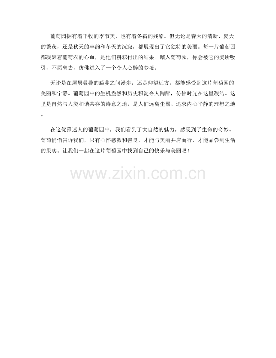 优雅迷人的葡萄园风光.docx_第2页