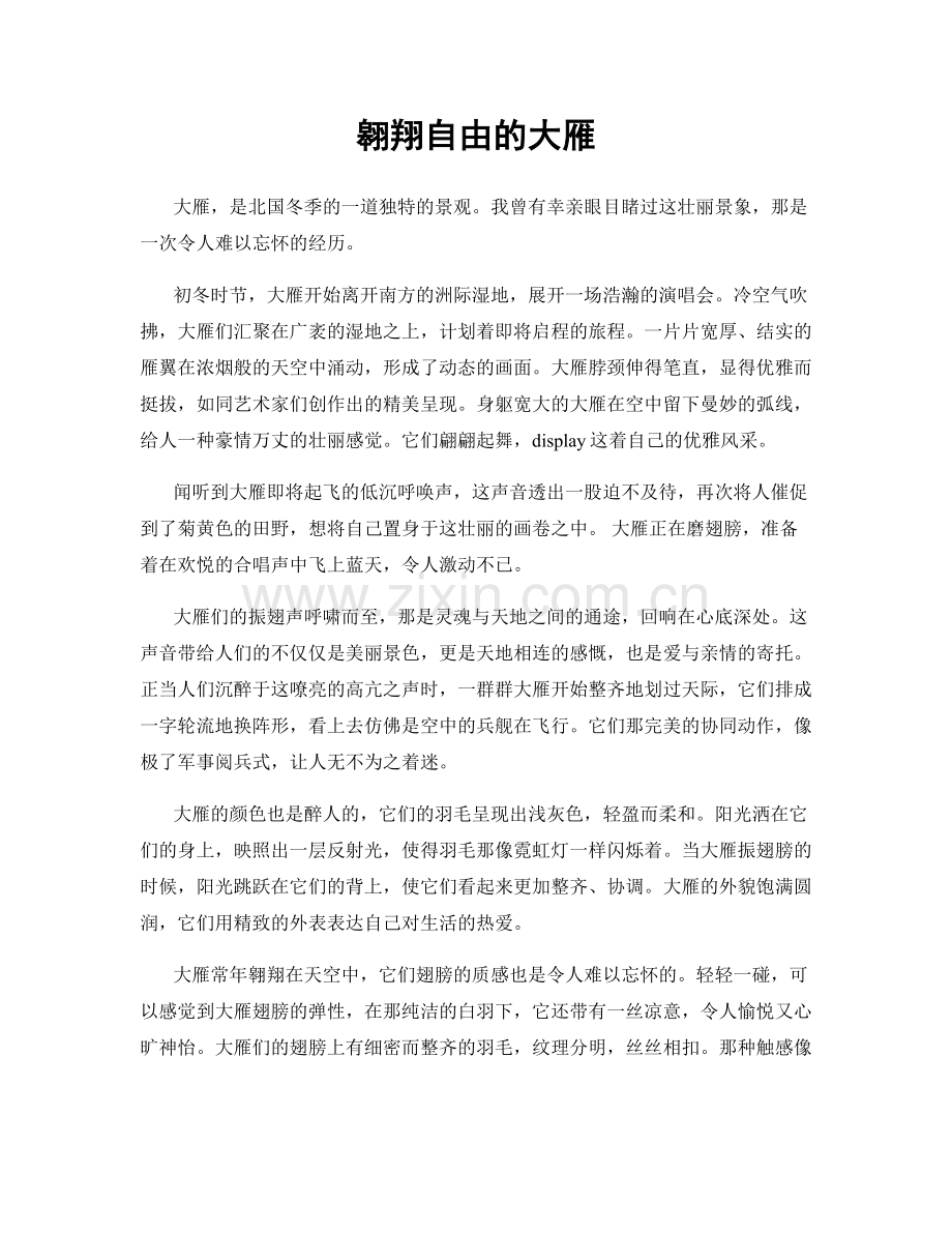 翱翔自由的大雁.docx_第1页