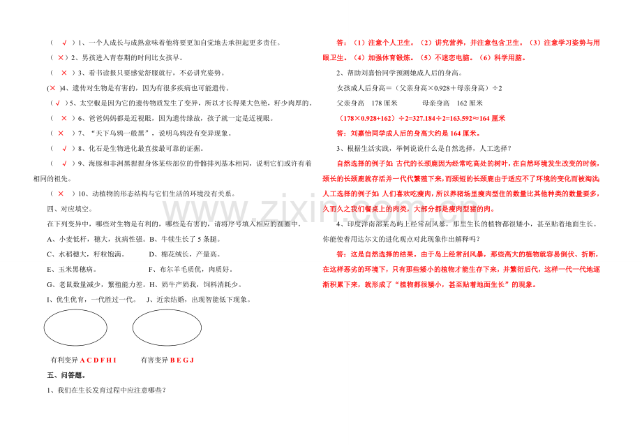 期中科学评价.doc_第2页