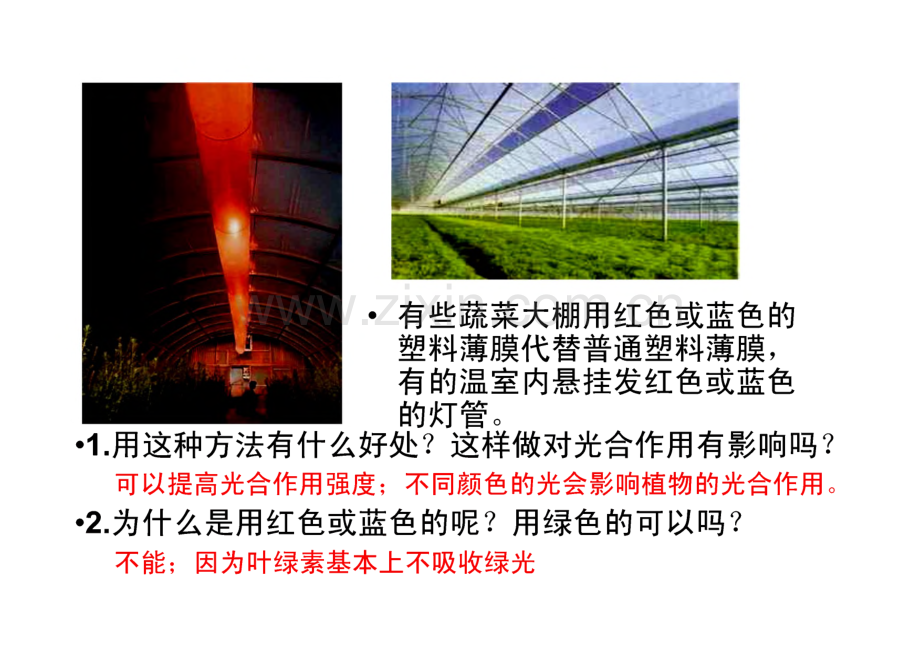 《能量之源——光与光合作用》课件.pdf_第2页