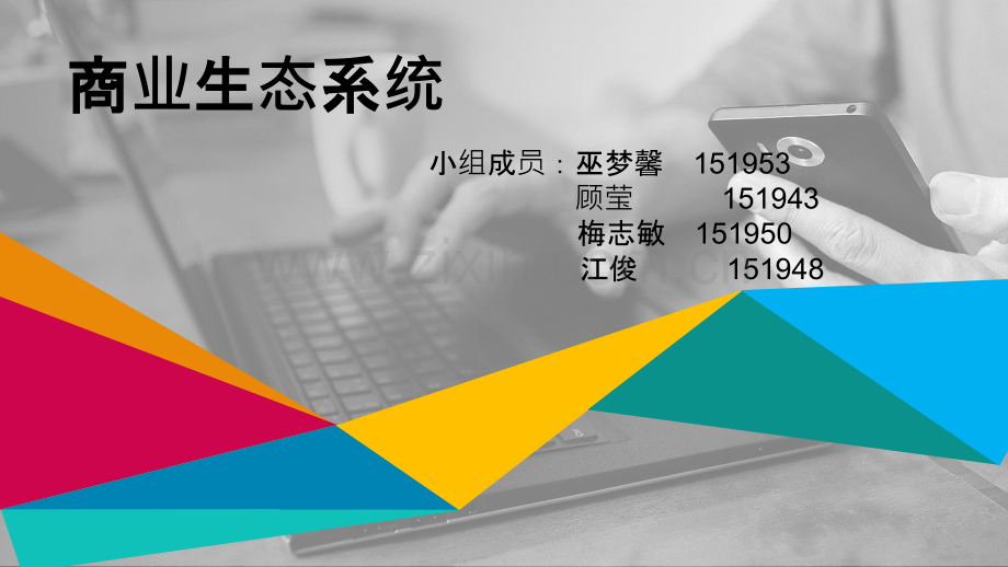 商业生态系统理论综述PPT课件.pptx_第1页