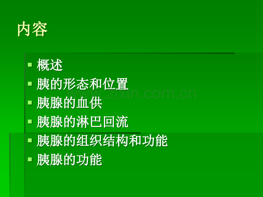 胰腺的基本结构.ppt_第1页