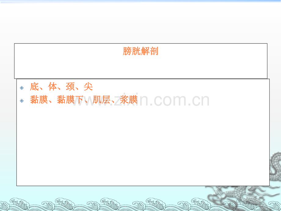膀胱MR诊断ppt课件.ppt_第2页