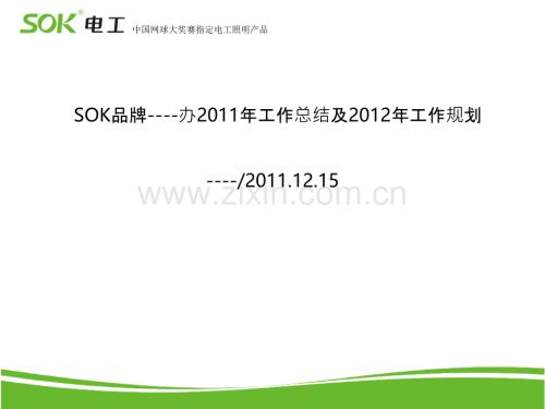 SOK品牌华南区上半年工作总结及下半年规划--(恢复)-PPT课件.ppt