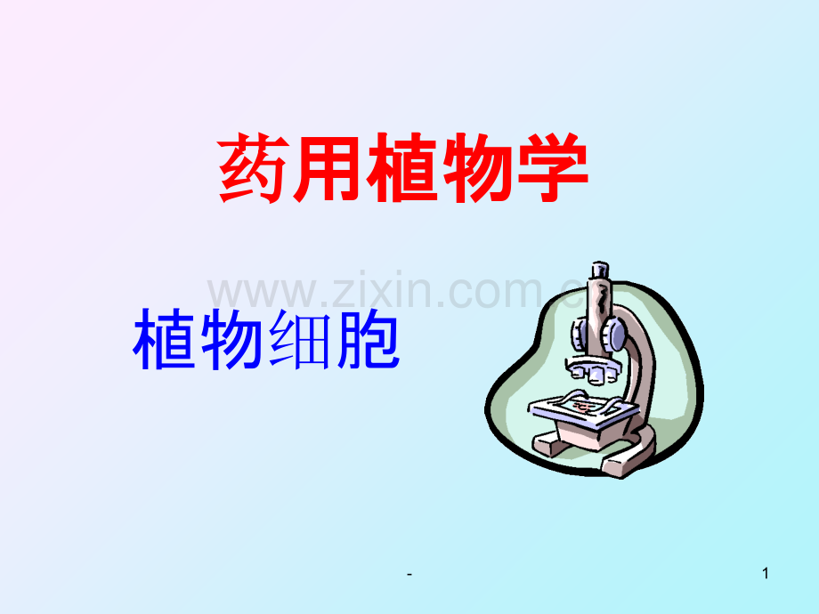 药用植物学：植物细胞PPT课件.ppt_第1页