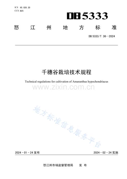 DB5333T 36-2024《千穗谷栽培技术规程》.pdf