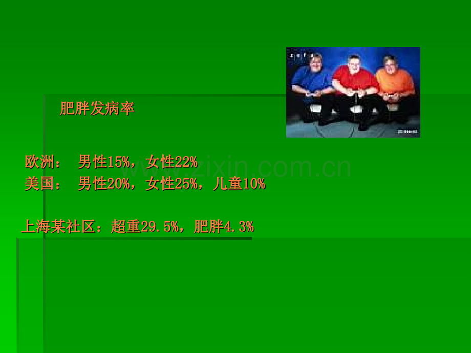 肥胖(专升本)ppt课件.ppt_第2页