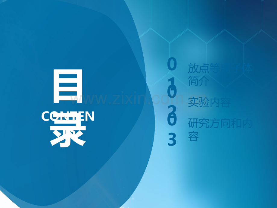 污染生态学(放电等离子体处理废水)ppt课件.pptx_第2页