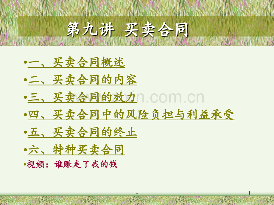 ch9-z买卖合同PPT课件.ppt_第1页