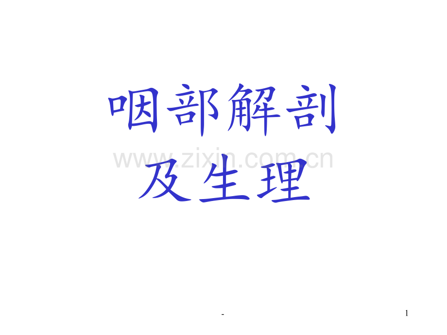 ENT解剖(咽)PPT课件.ppt_第1页