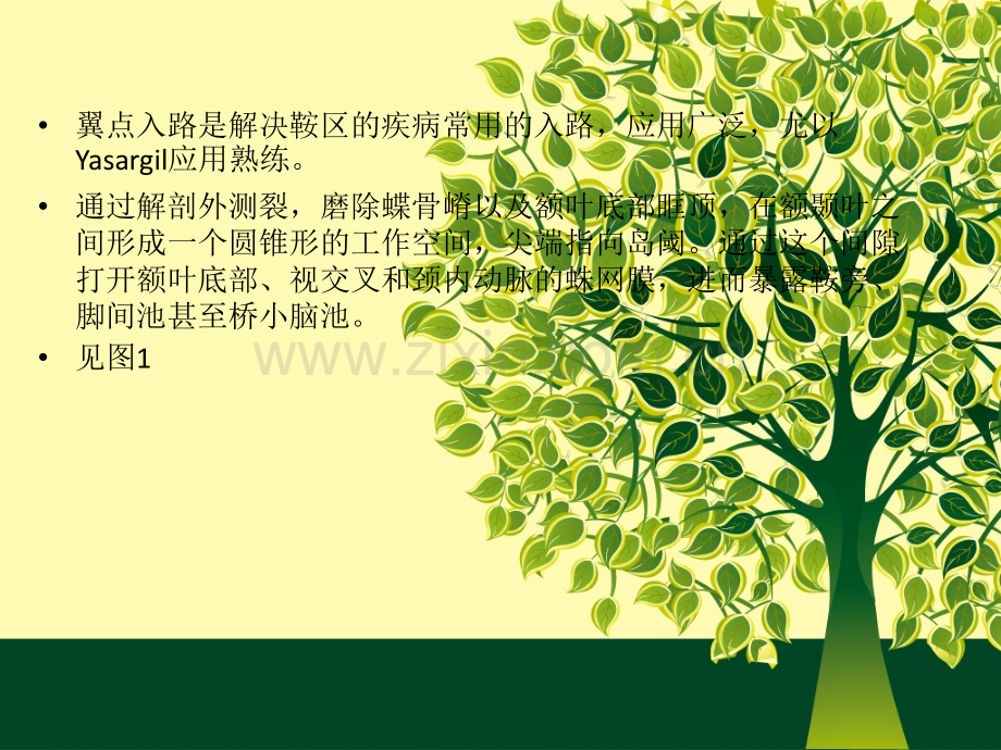 翼点入路问题探讨.ppt_第2页