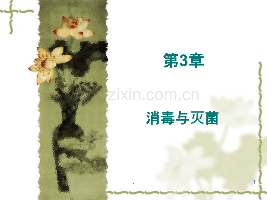 消毒灭菌、感染与免疫、耐药性.ppt_第1页
