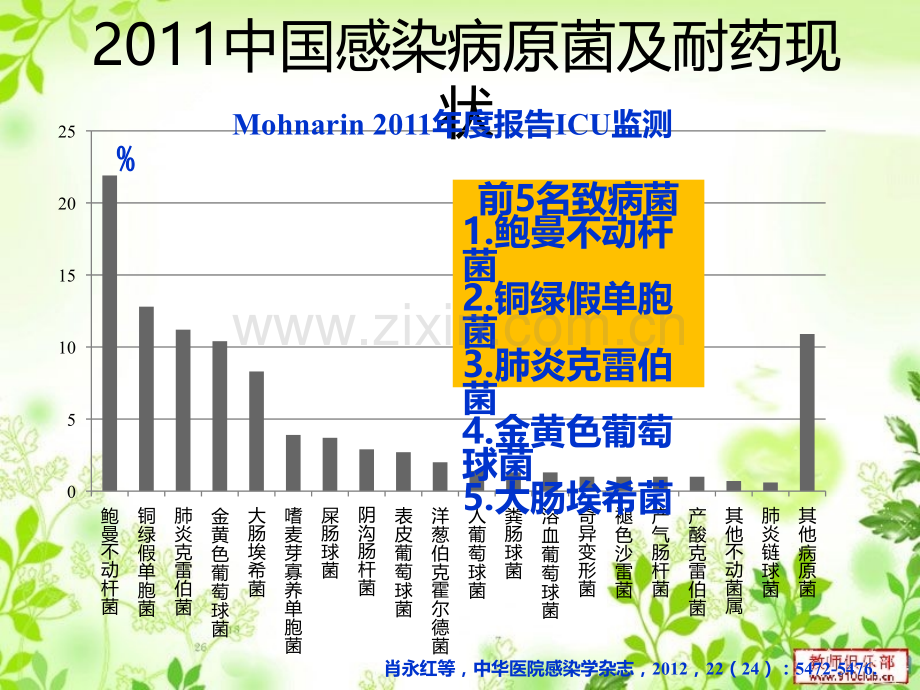 感染抗生素治疗策略ppt课件.pptx_第2页