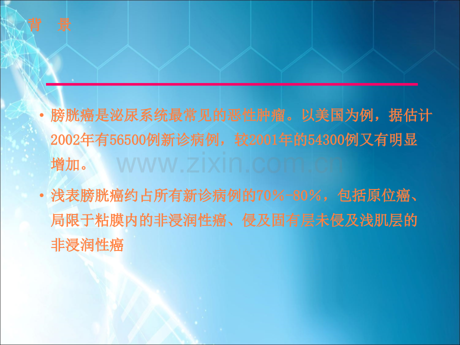 膀胱肿瘤的治疗进展要点ppt课件.ppt_第2页