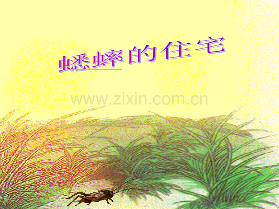 蟋蟀的住宅PPT(课件).ppt_第1页