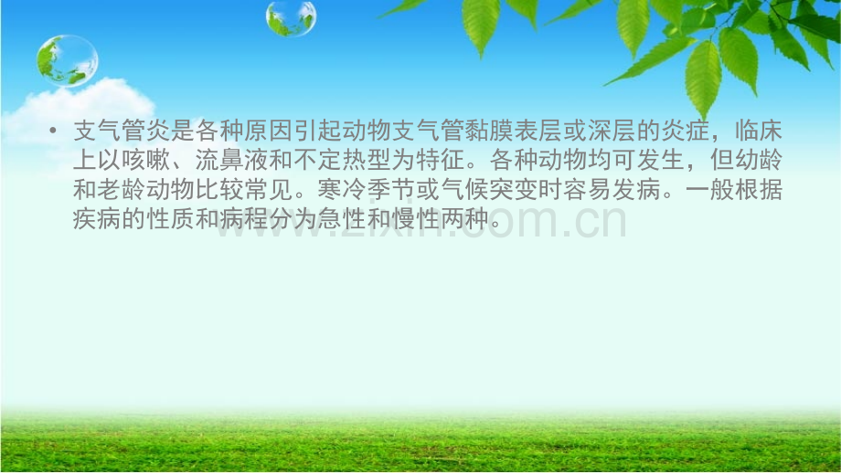 支气管炎(Bronchitis).ppt_第2页