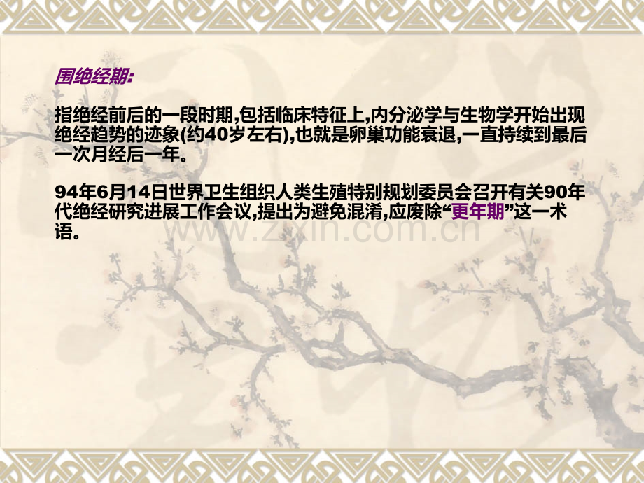 围绝经期综合征护理措施.ppt_第2页