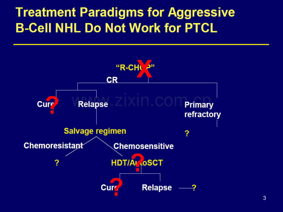 治疗外周T细胞淋巴瘤的新型药物PPT课件.pptx_第3页