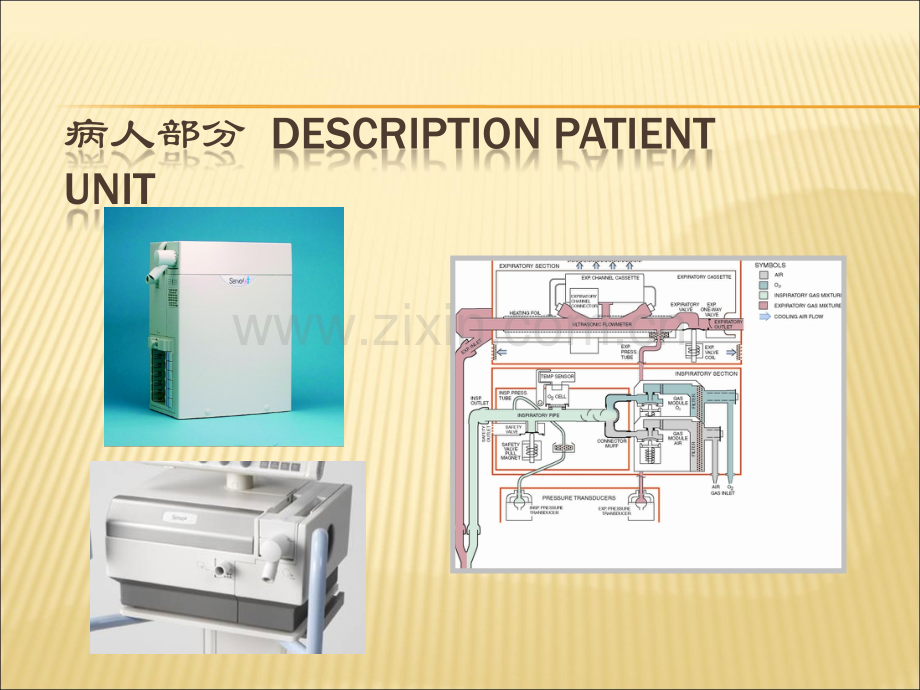 SERVO系列呼吸机培训.ppt_第2页