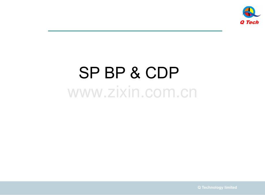 SP-BP-&-CDP-Charter公司战略规划.ppt_第1页