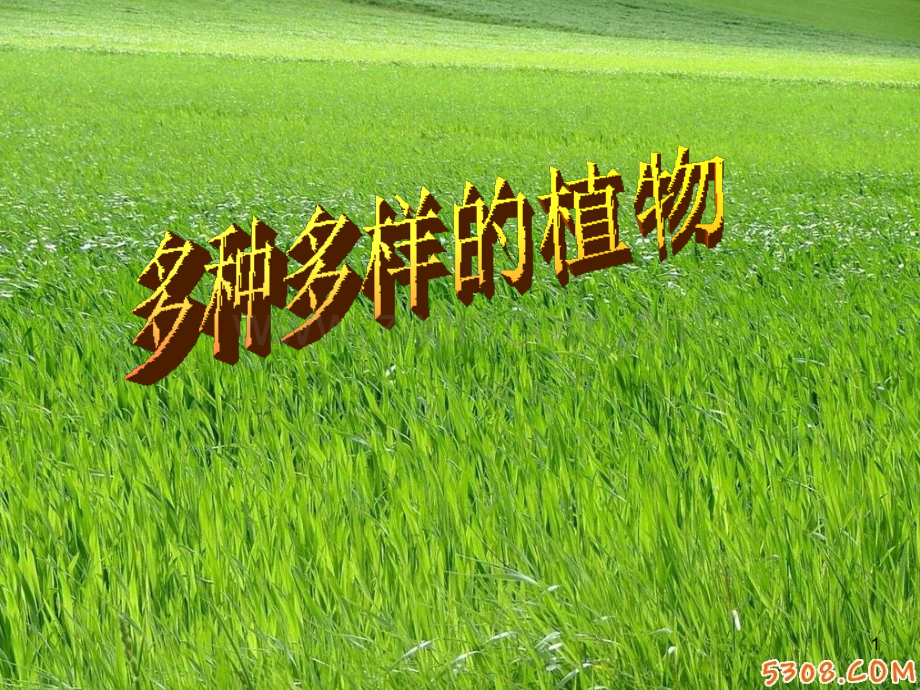 多种多样的植物.ppt_第1页