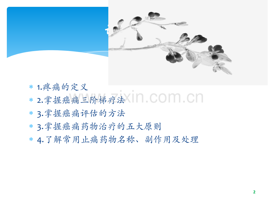 癌痛的药物治疗ppt课件.ppt_第2页