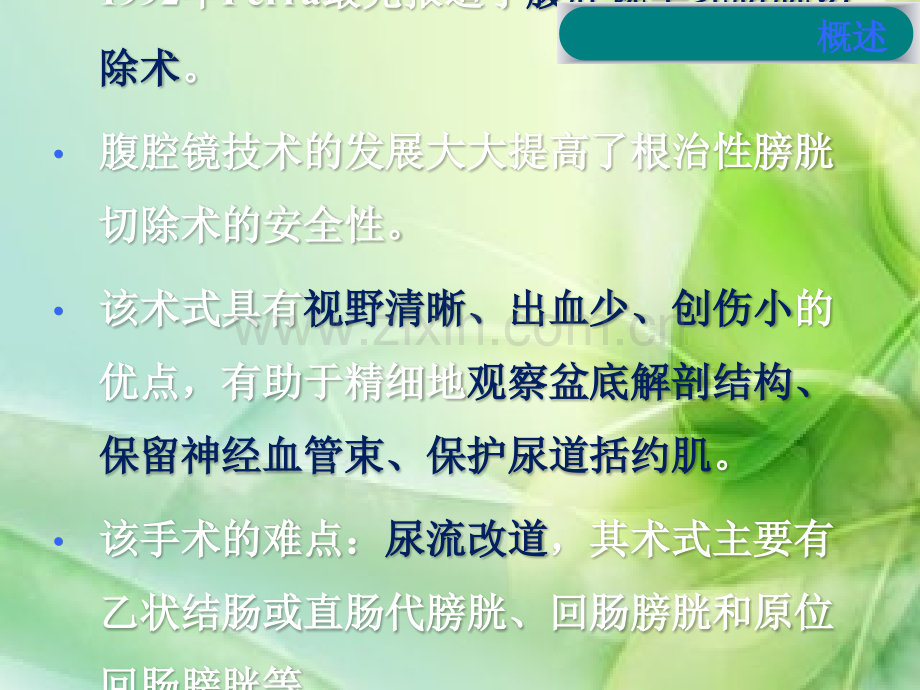 腹腔镜膀胱癌根治术ppt课件.pptx_第2页