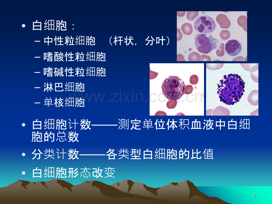 白细胞计数与分类PPT课件.ppt_第2页