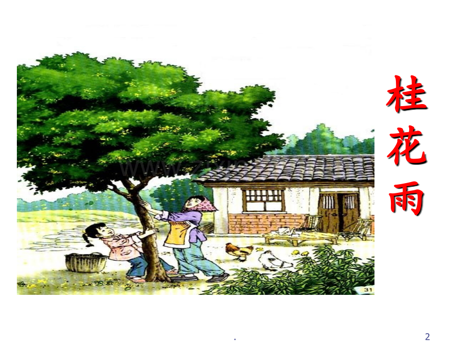 《桂花雨》PPT课件.ppt_第2页