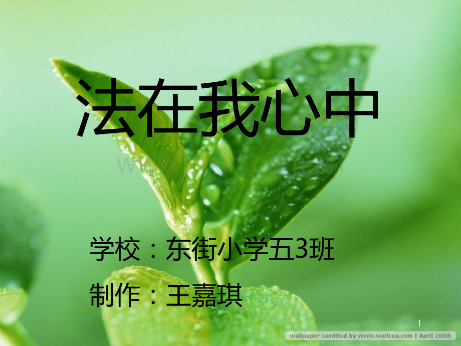 法在我心中主题班会PPT课件.ppt_第1页