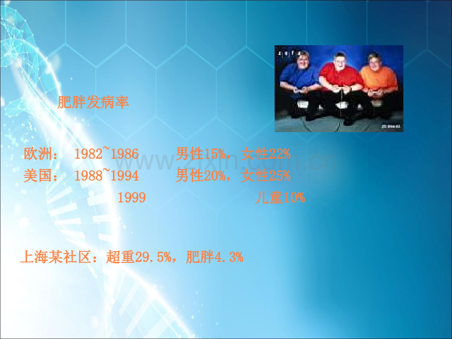 肥胖发病机制ppt课件.ppt_第2页