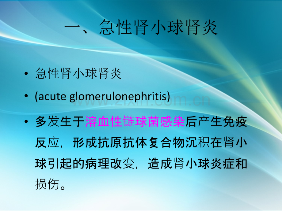第八章-肾脏疾病.ppt_第2页