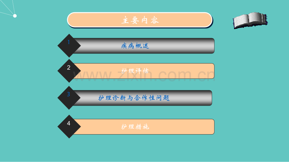 肝炎护理评估.ppt_第2页