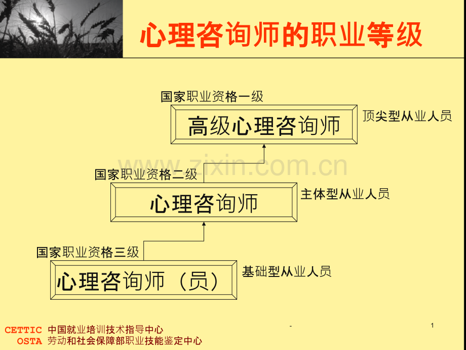 新心理咨询师国家职业标准介绍PPT课件.ppt_第1页