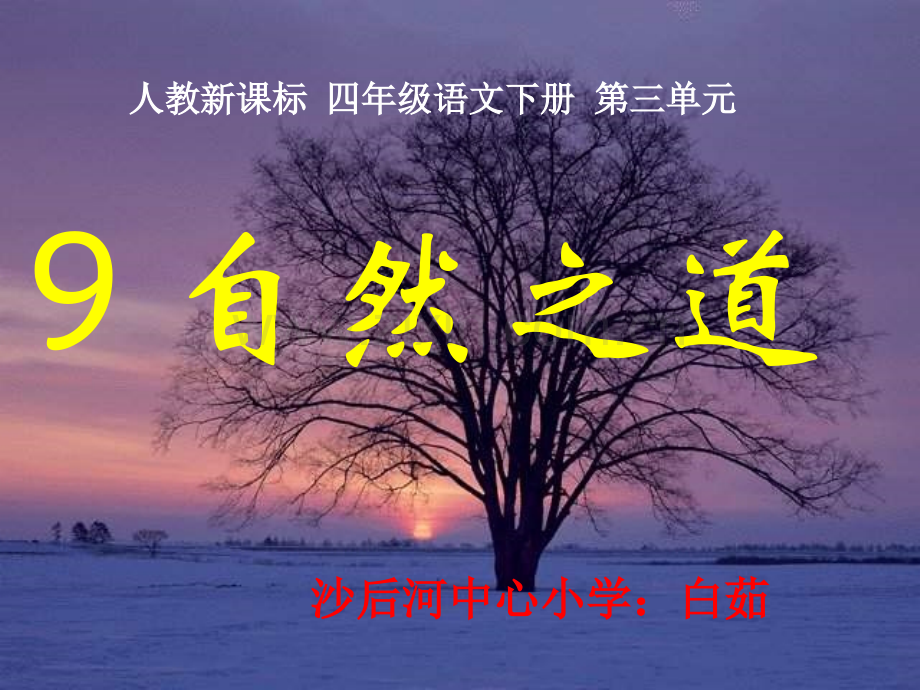 《自然之道》ppt课件.ppt_第1页