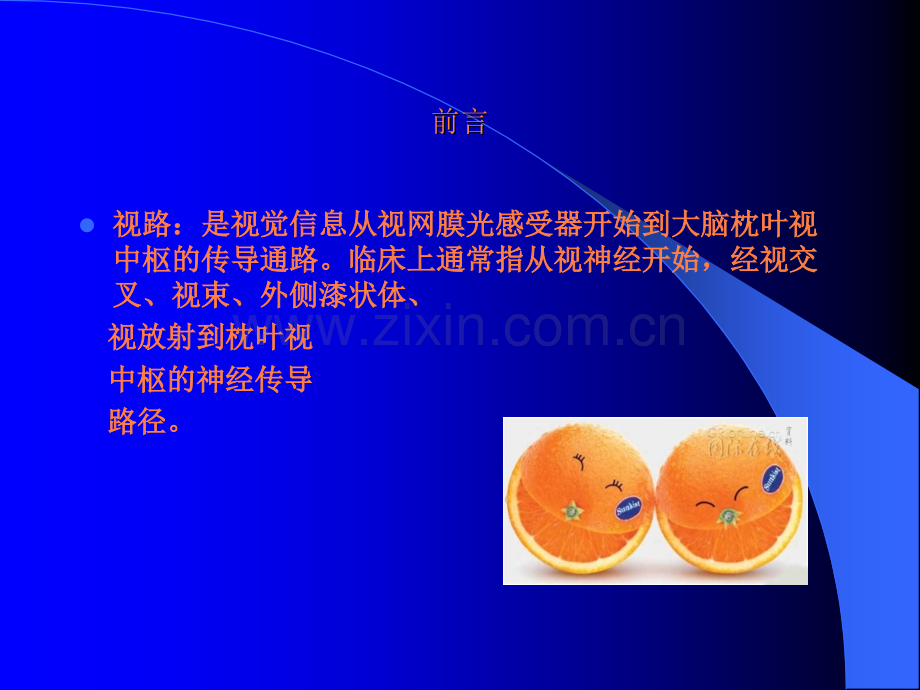 第十五章-视神经及视路疾病ppt课件.ppt_第2页