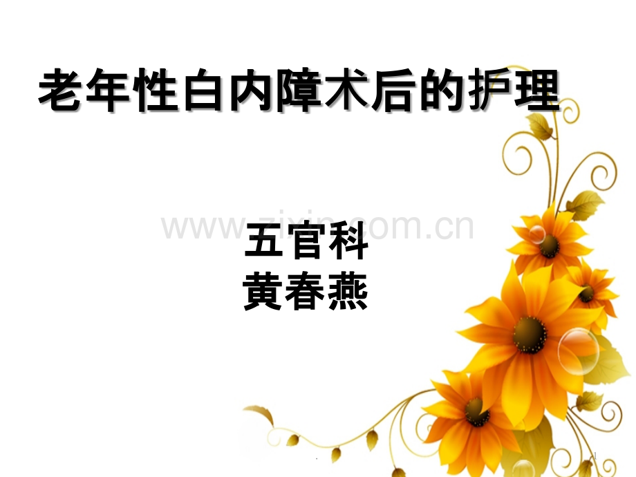 老性白内障术后的护理ppt课件.pptx_第1页