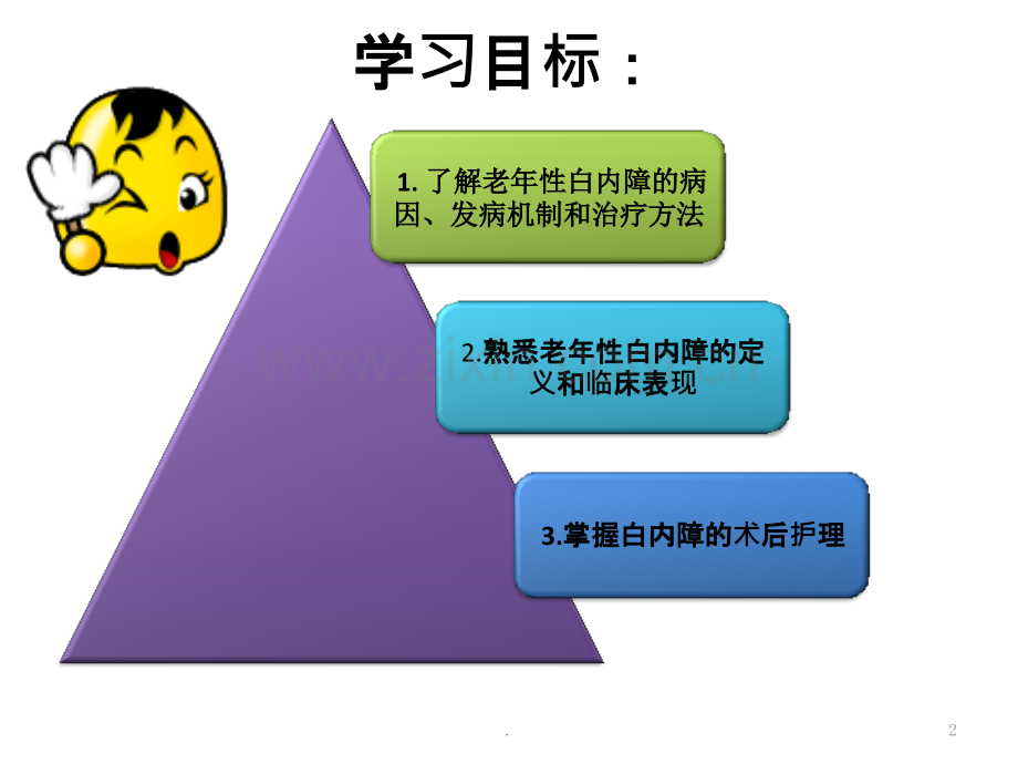 老性白内障术后的护理ppt课件.pptx_第2页