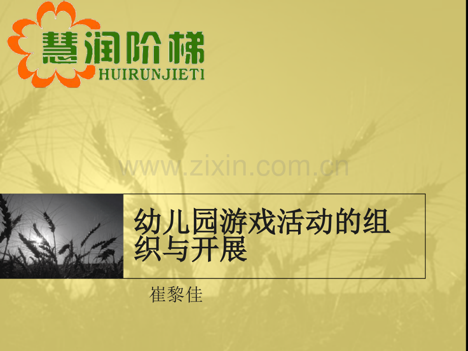 幼儿园游戏活动的组织与开展.ppt_第1页