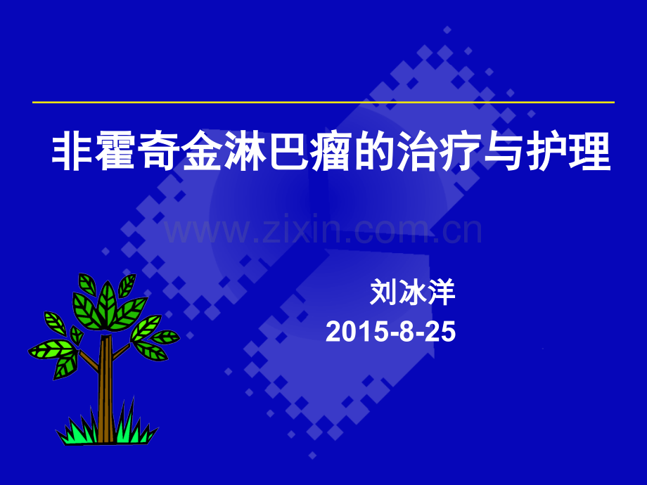 非霍奇金淋巴瘤..ppt_第1页