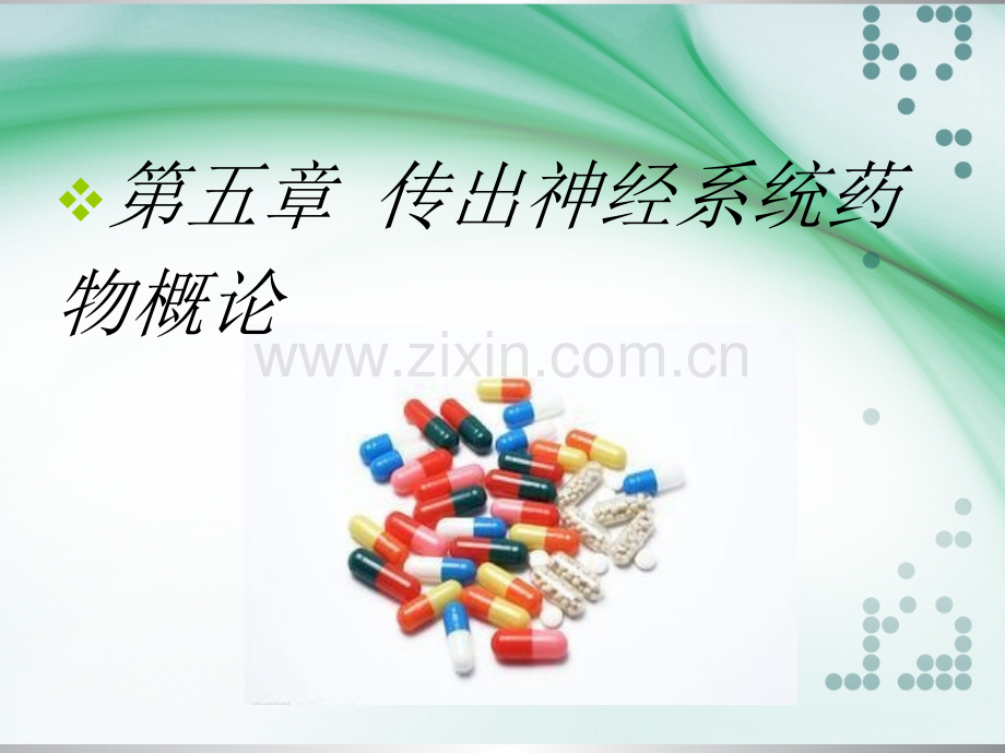 药理学-传出神经系统药理概论.ppt_第2页