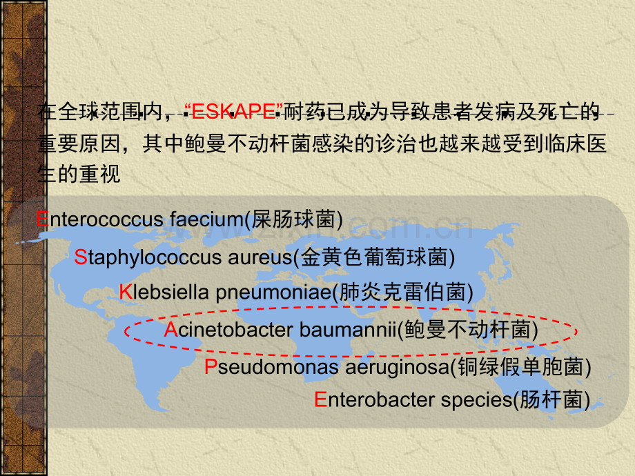 鲍曼不动杆菌专家共识.ppt_第2页