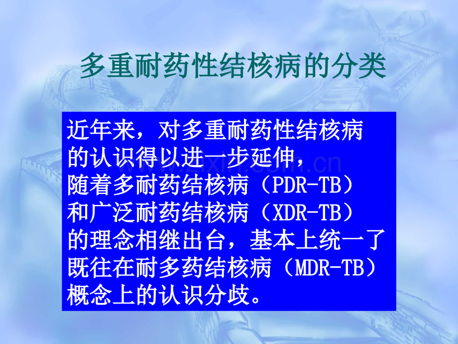 肖和平主任多重耐药结核病PPT课件.ppt_第2页